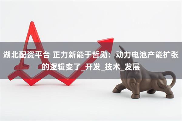 湖北配资平台 正力新能于哲勋：动力电池产能扩张的逻辑变了_开发_技术_发展