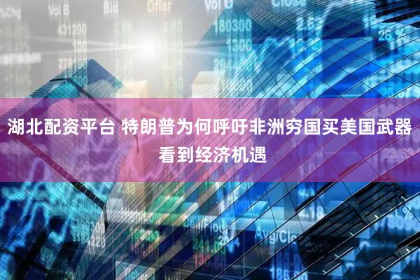 湖北配资平台 特朗普为何呼吁非洲穷国买美国武器 看到经济机遇