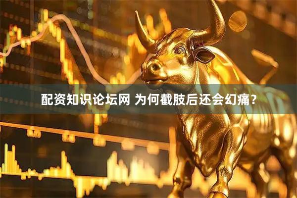 配资知识论坛网 为何截肢后还会幻痛？