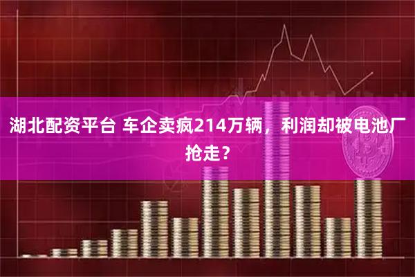湖北配资平台 车企卖疯214万辆，利润却被电池厂抢走？