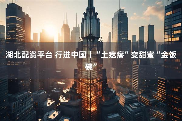 湖北配资平台 行进中国丨“土疙瘩”变甜蜜“金饭碗”
