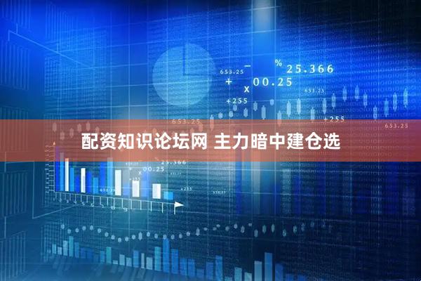 配资知识论坛网 主力暗中建仓选